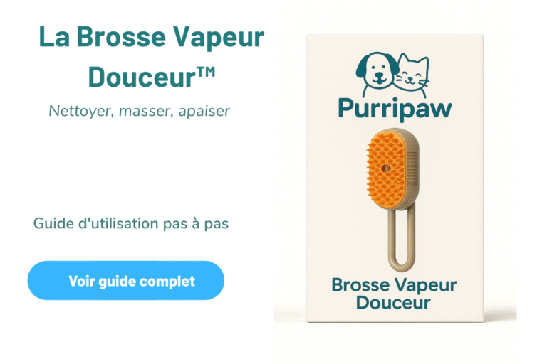 Brosse Vapeur Douceur™ Purripaw — visuel du guide d’utilisation pas à pas (nettoyer, masser, apaiser le pelage)